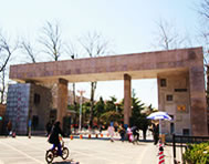 renda3.jpg