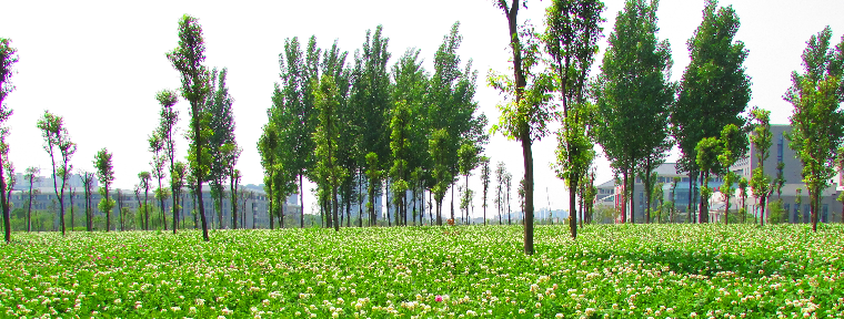 chengduyixueyaun.png