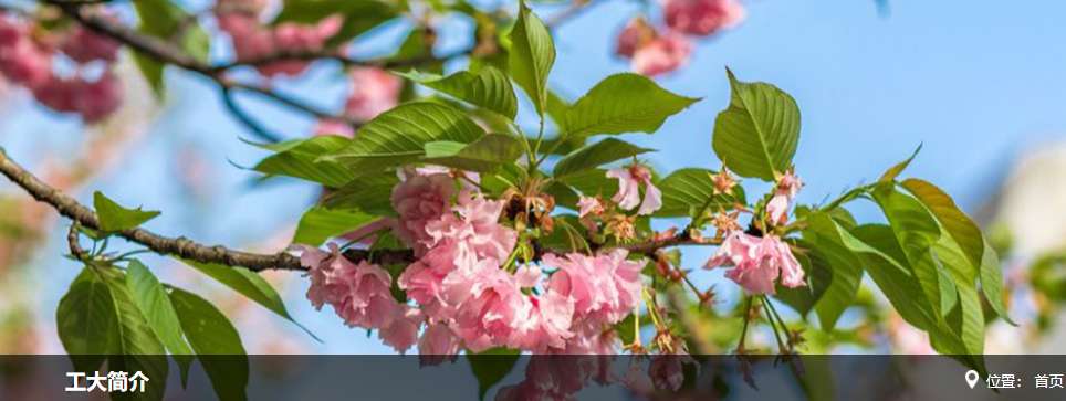 1754012669456415.png image.png