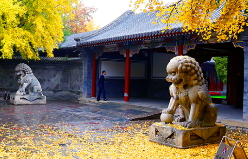 1754272610802972.png image.png