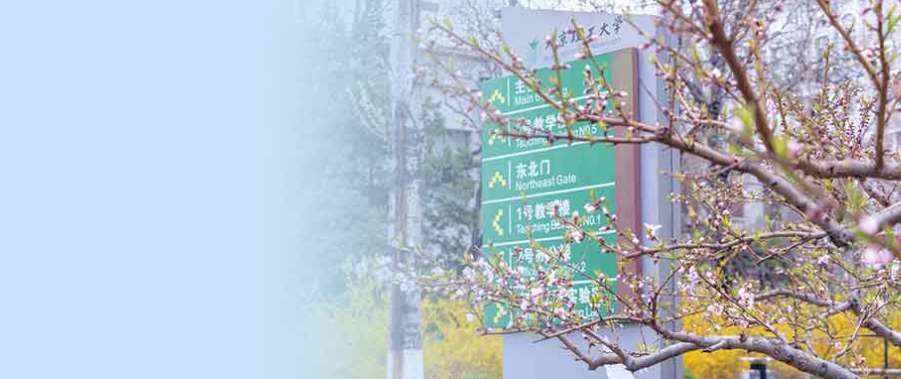 1754273180641116.png image.png