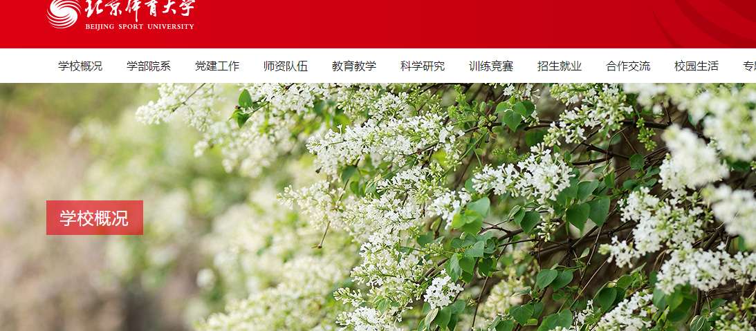 1754443054101346.png image.png