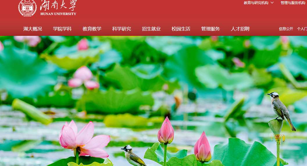 1754443495244207.png image.png