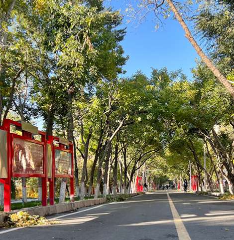 1754528814974557.png image.png