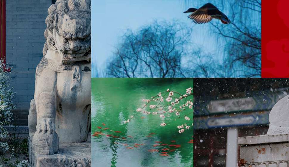 1755233837328356.png image.png