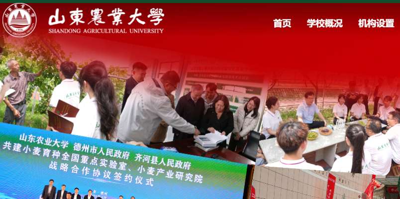 1755826041829933.png image.png