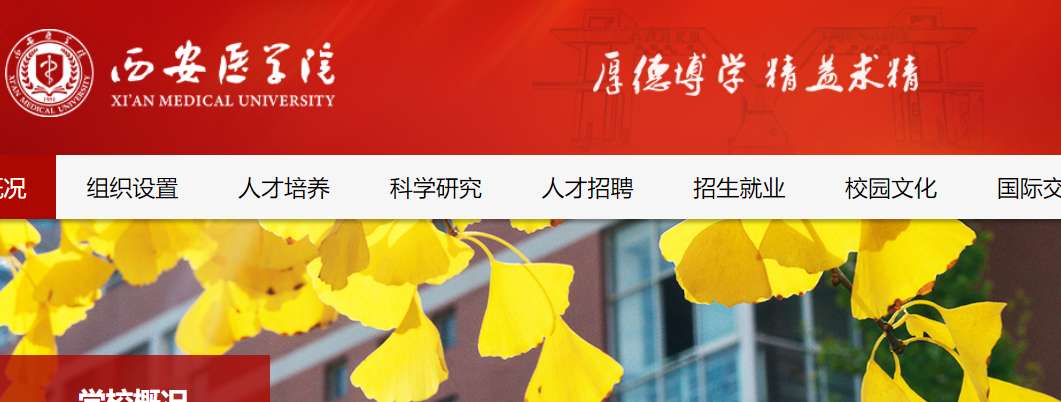 1756085561343939.png image.png