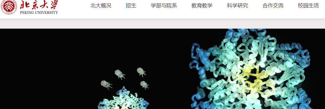 1756170802733238.png image.png