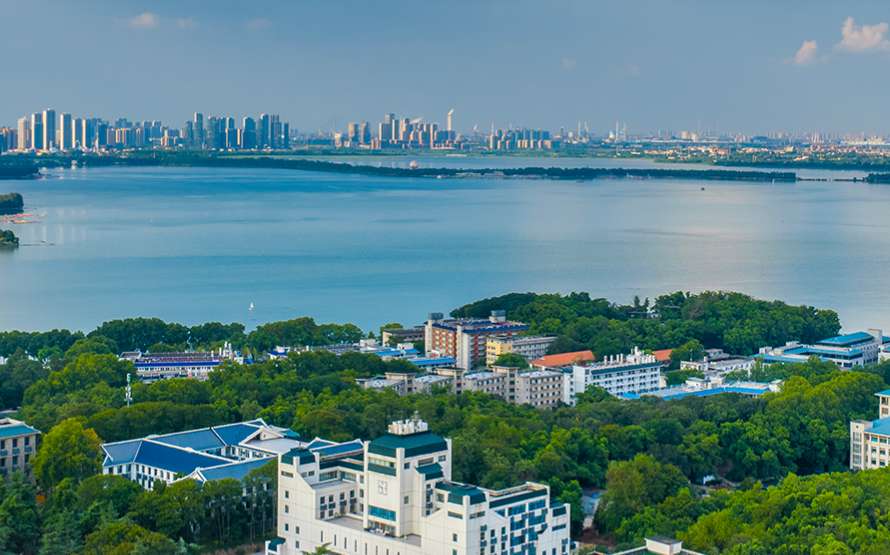 1756428729532895.png image.png