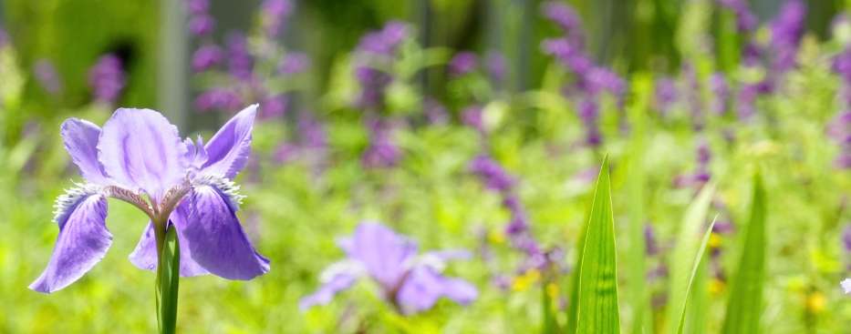 1756690778926683.png image.png