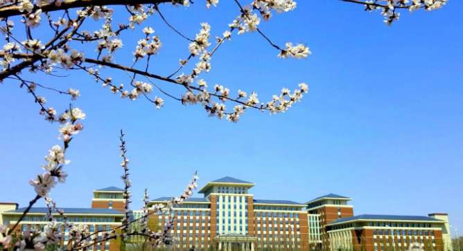 1758091545287730.png image.png