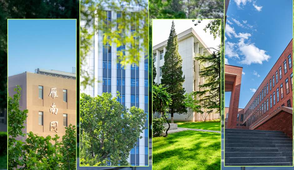 1760062927271392.png image.png