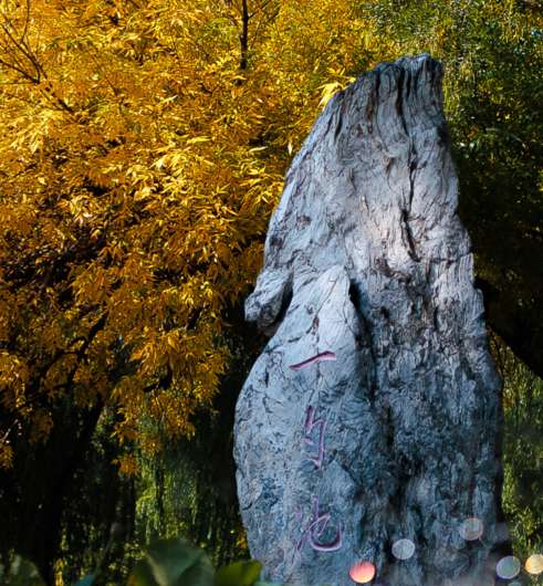 1760149263310389.png image.png