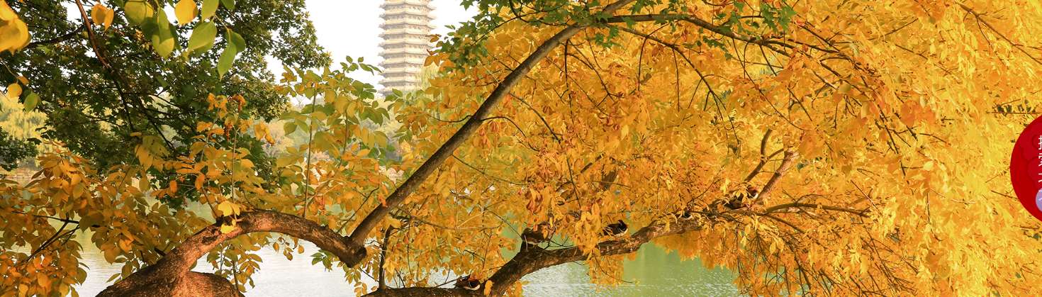 1760581525445152.png image.png