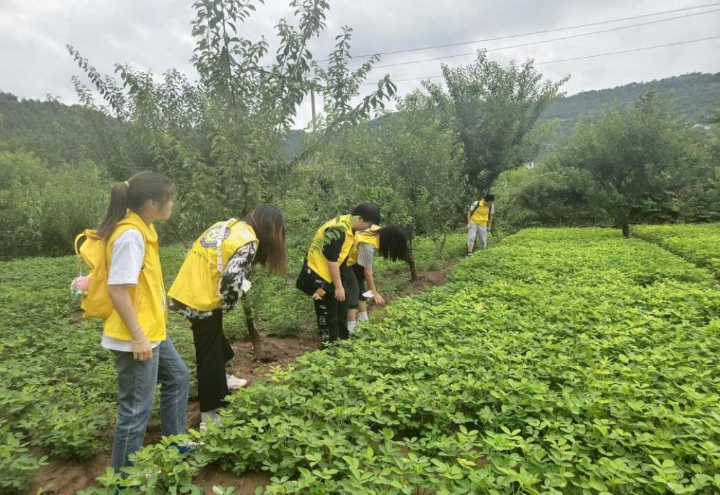 (中华网)川农资源学子三下乡:探究农村产业发展,助力乡村振兴崛起-四川农业大学新闻网
