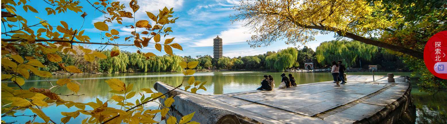 1762134504485758.png image.png