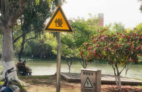 1762745933837301.png image.png