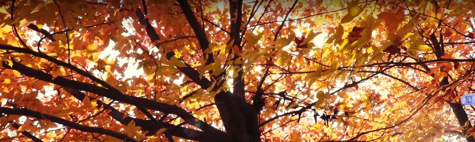 1762911329628835.png image.png