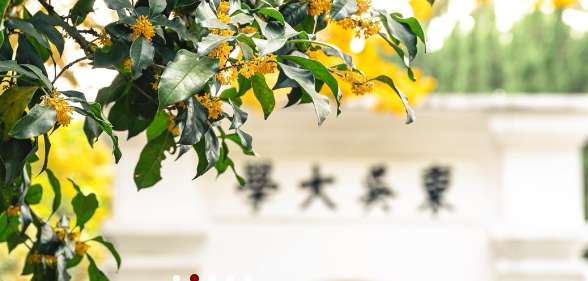 1763601265220026.png image.png