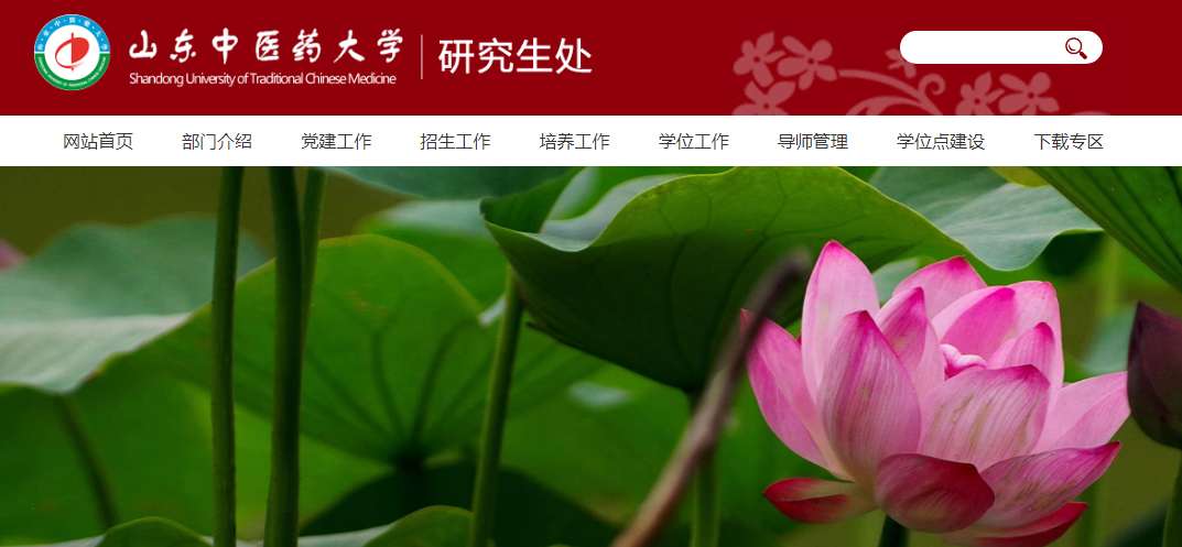 1763601306142478.png image.png