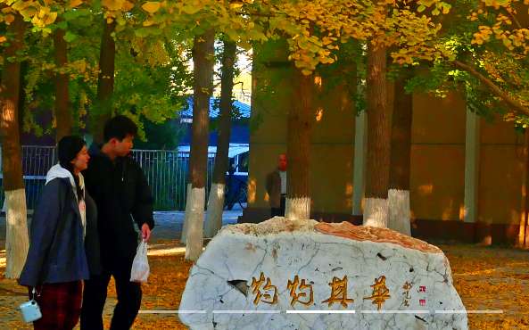 1763602155104326.png image.png