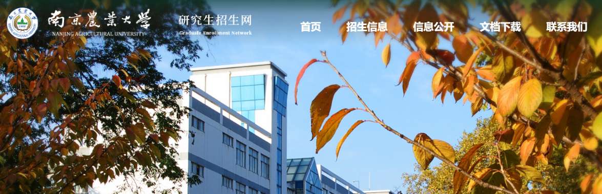 1763690045604353.png image.png