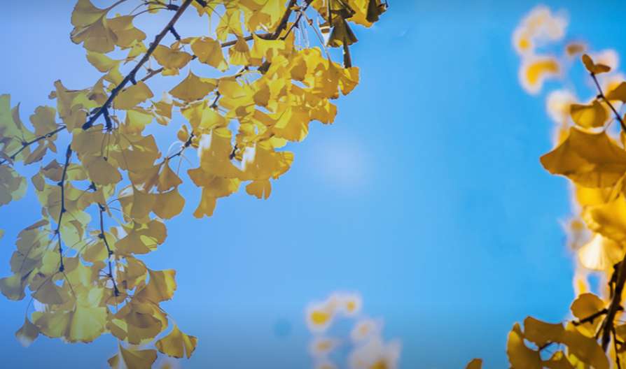 1763974586984947.png image.png