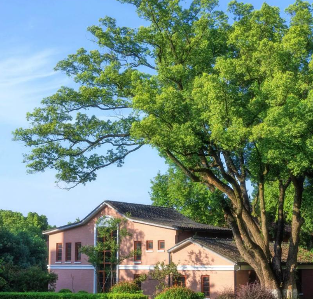 1764905087802394.png image.png