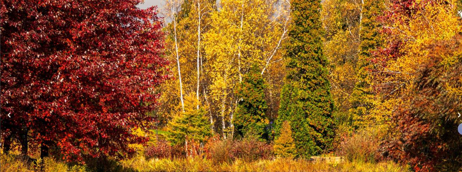 1765508254384152.png image.png