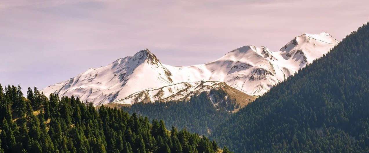 1765508270602271.png image.png