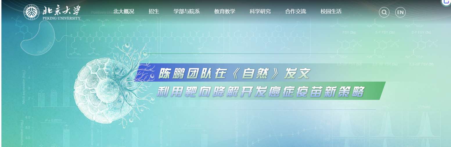 1768209756992917.png image.png