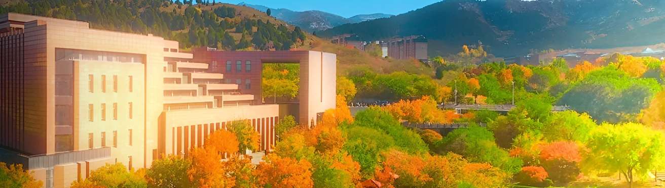 1768523570324015.png image.png