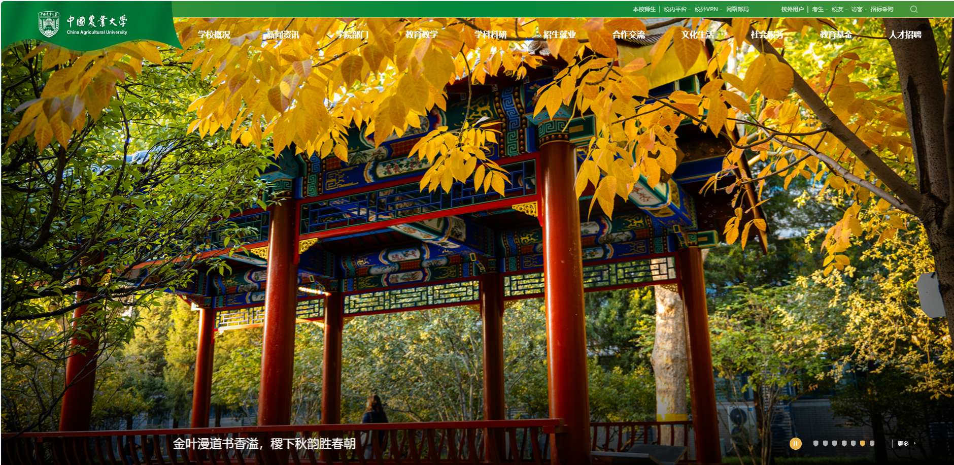 1773110447184601.png image.png