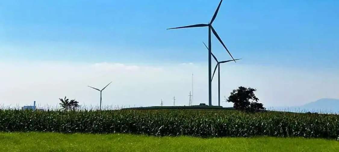 1773279546346810.png image.png