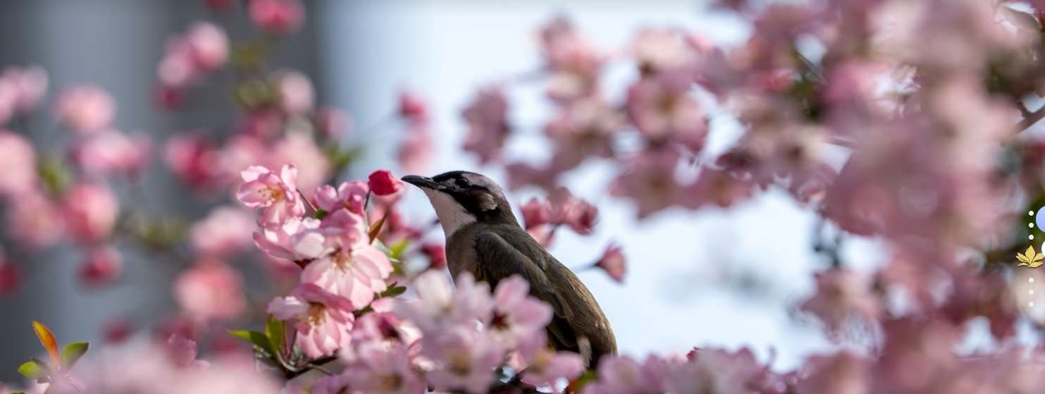 1773971401240981.png image.png